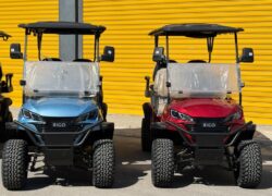 RIGO-Golf-Arabasi-1024x768